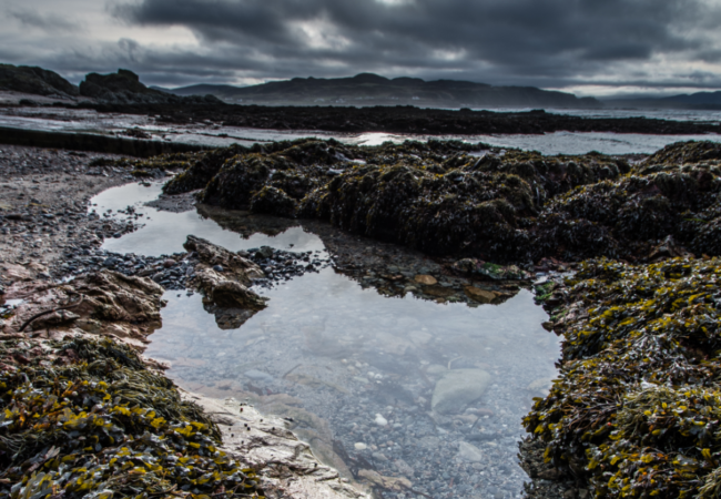An image of a rock pool by the sea