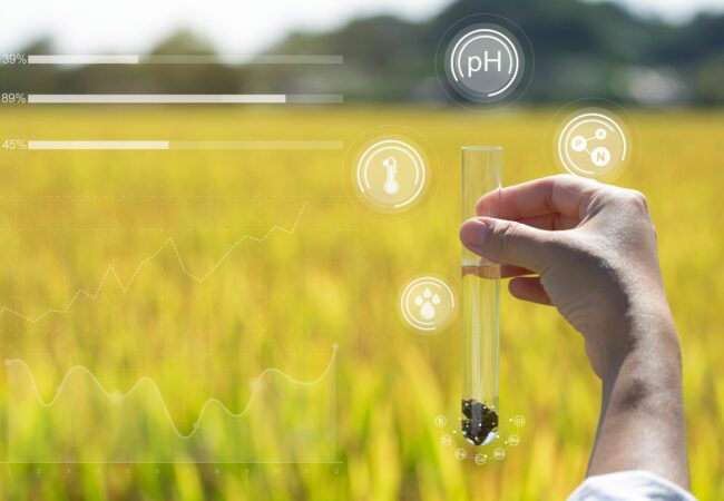 An image of somebody collecting a soil sample