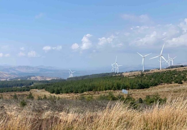 An image of a wind farm